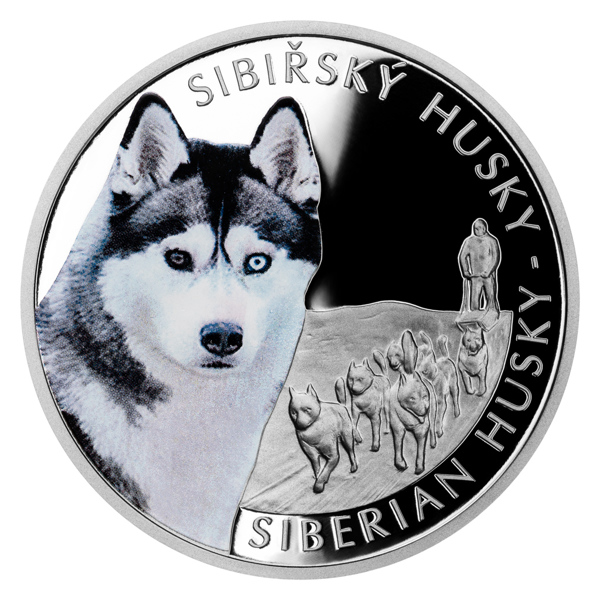 Stříbrná mince Psí plemena - Sibiřský husky proof