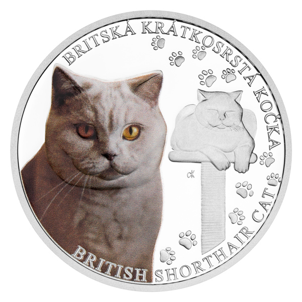 Stříbrná mince Plemena koček - Britská kočka proof