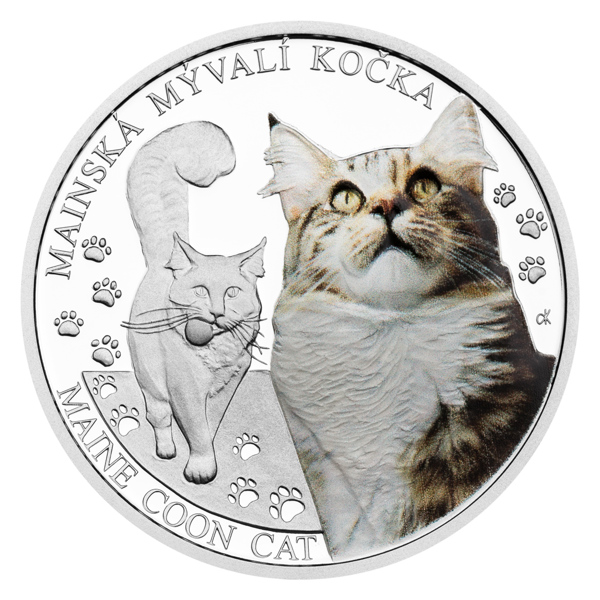 Stříbrná mince Plemena koček - Mainská mývalí kočka proof