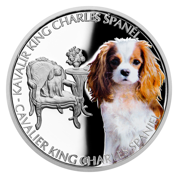 Stříbrná mince Psí plemena - Kavalír King Charles španěl proof