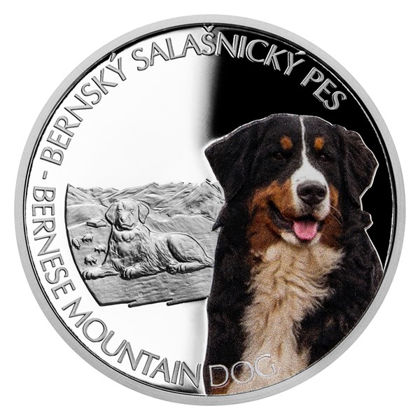 Stříbrná mince Psí plemena - Bernský salašnický pes proof
