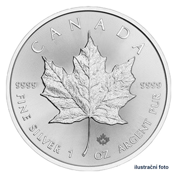 Stříbrná investiční mince 1 Oz 5 CAD Maple Leaf stand